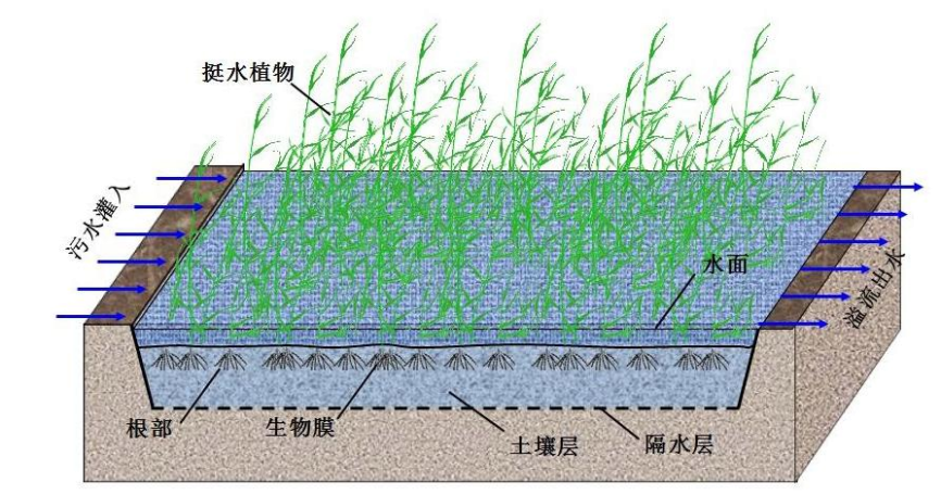 表流濕地污水處理技術