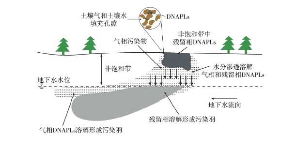 DNAPLs泄漏至地表后，受到重力作用向下遷移